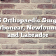 Top 5 Orthopaedic Surgeons in Carbonear, Newfoundland and Labrador