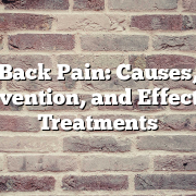 Back Pain: Causes, Prevention, and Effective Treatments