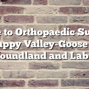 Guide to Orthopaedic Surgery in Happy Valley-Goose Bay, Newfoundland and Labrador