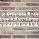 Guide to Orthopaedic Surgery in Happy Valley-Goose Bay, Newfoundland and Labrador