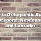 Guide to Orthopaedic Surgery in Lewisporte, Newfoundland and Labrador